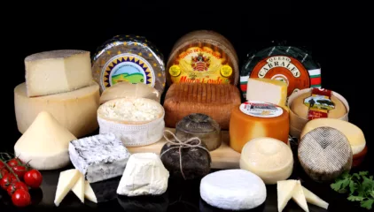 Ruta del queso por el norte de España